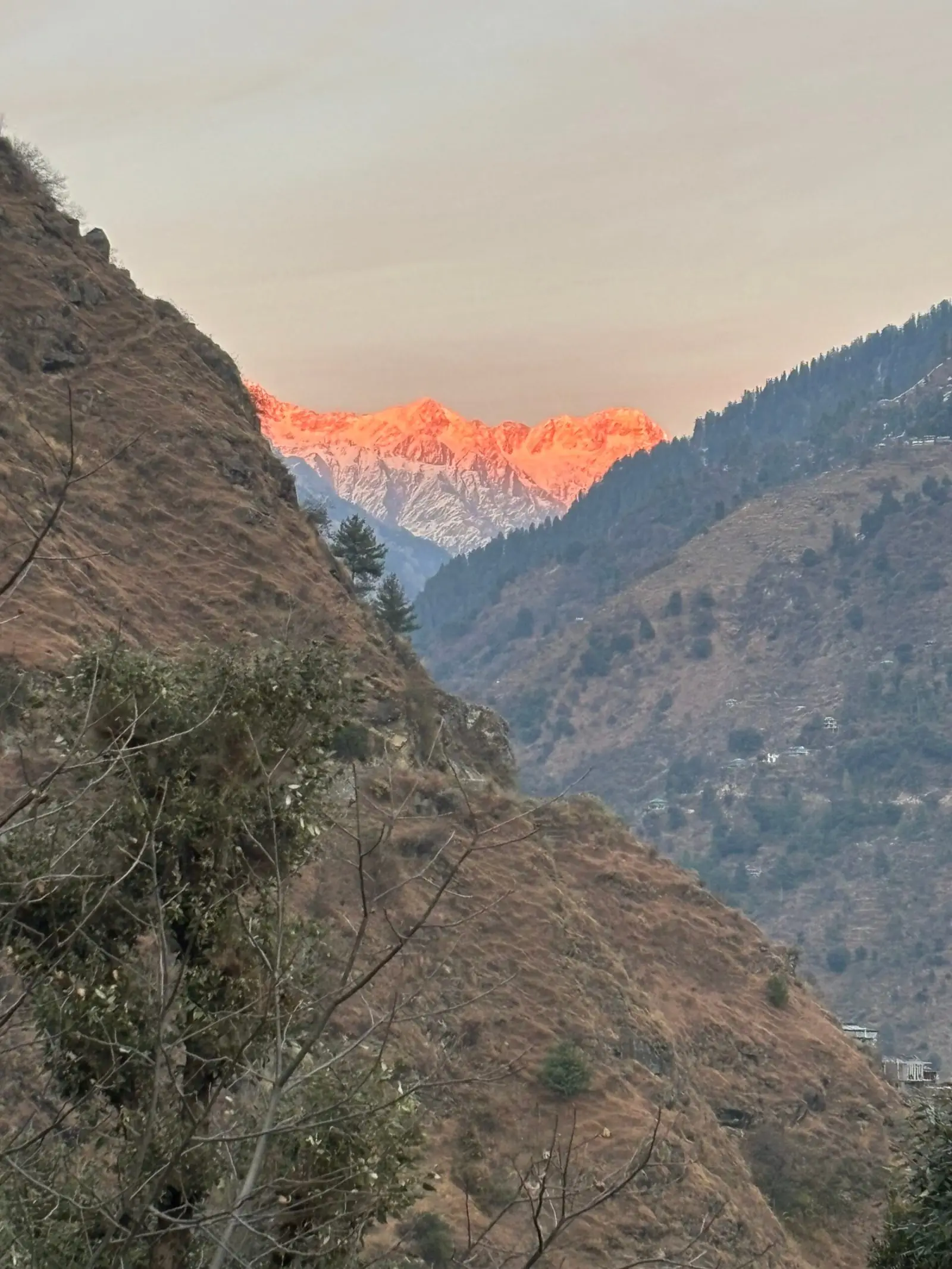 Sunset alpenglow on the snow peaks