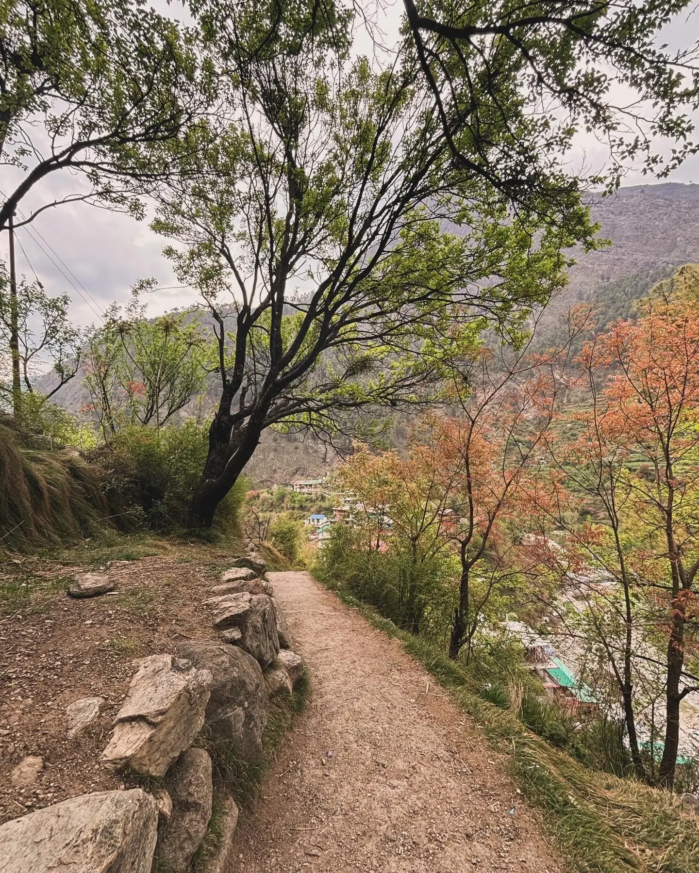 A trekking trail overlooking the valley
